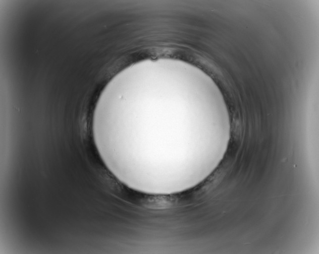 X0000088020381200706081446