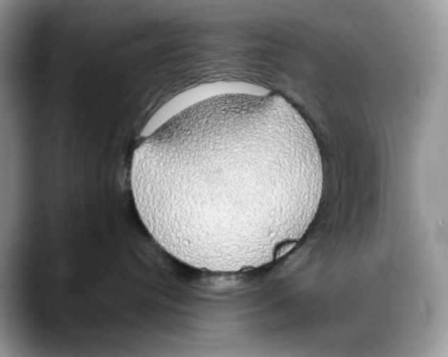 X0000088020384200706081446