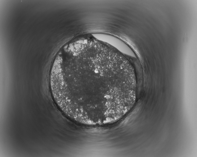 X0000088020385200706081445
