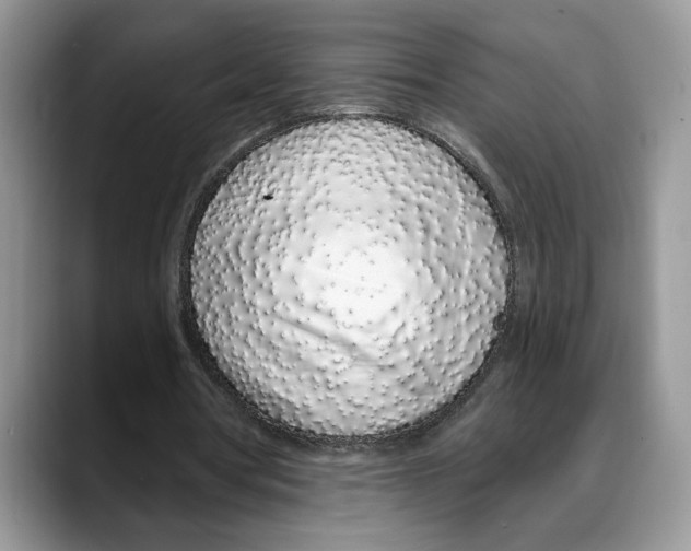 X0000088020386200706081445