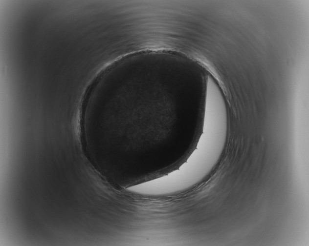 X0000088020387200706081445