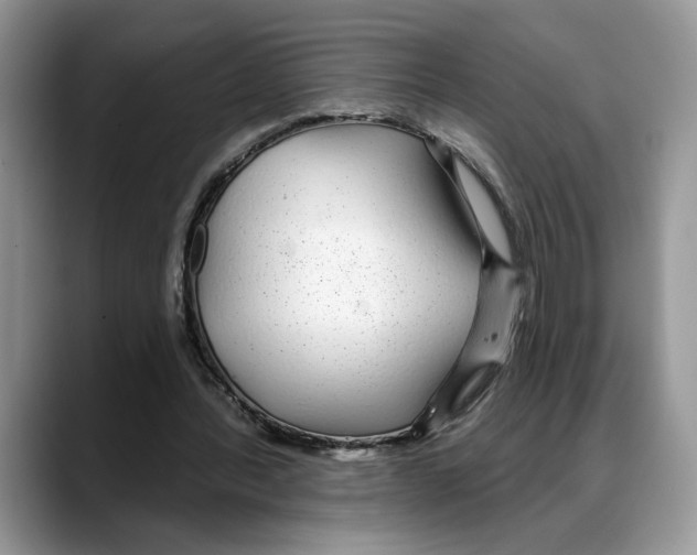 X0000088020388200706081445