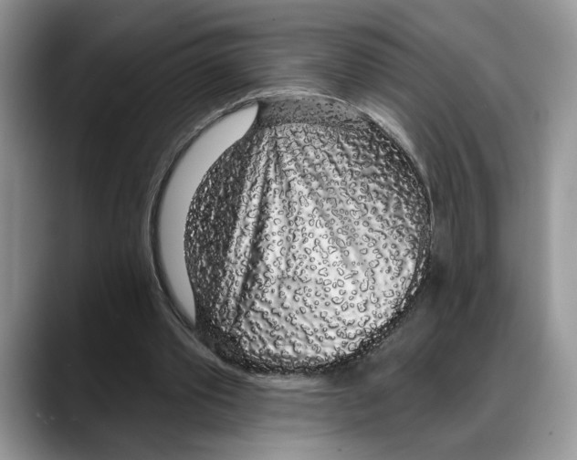 X0000088020389200706081445