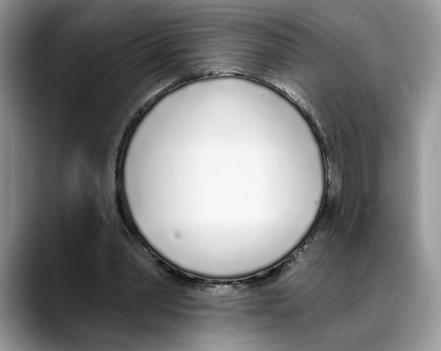 X0000088020390200706081445