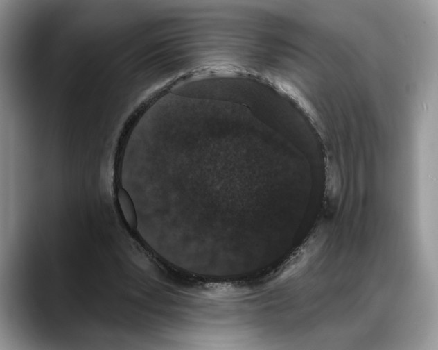 X0000088020391200706081445