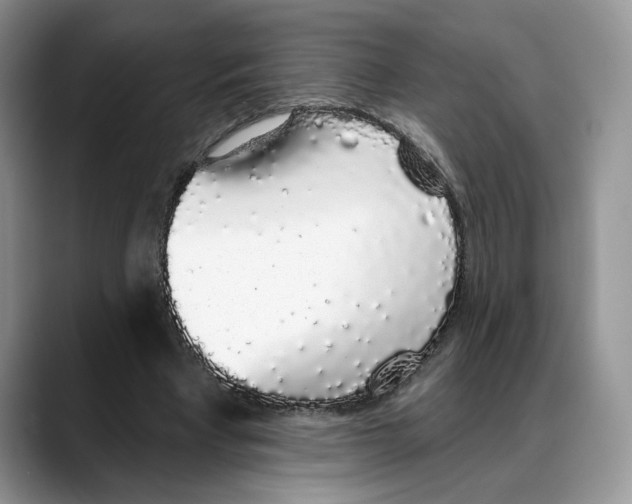 X0000088020393200706081445