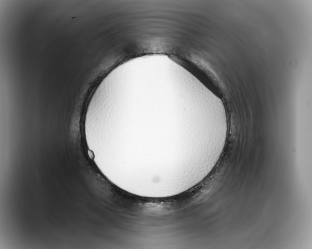 X0000088020394200706081445
