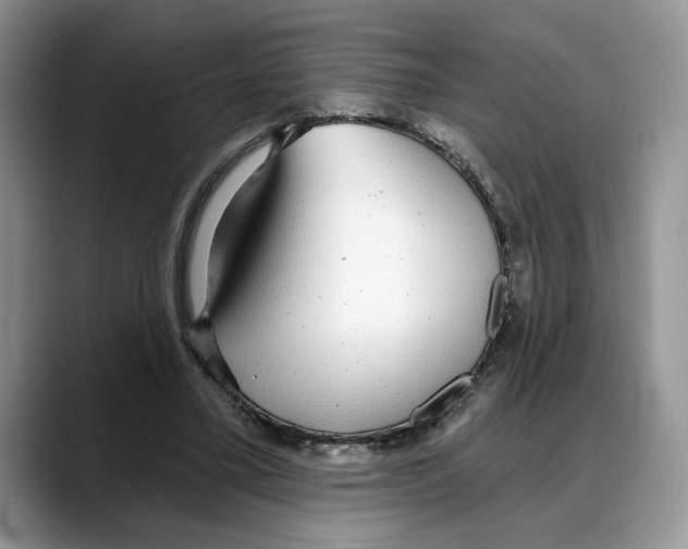 X0000088020395200706081445