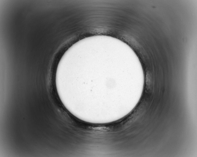 X0000088020396200706081445