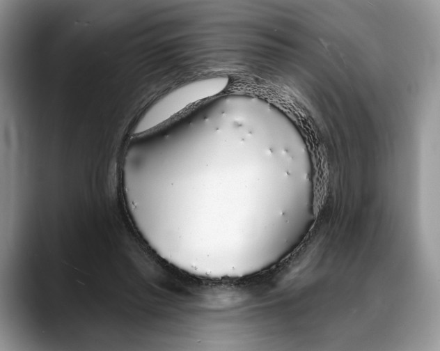 X0000088020397200706081445