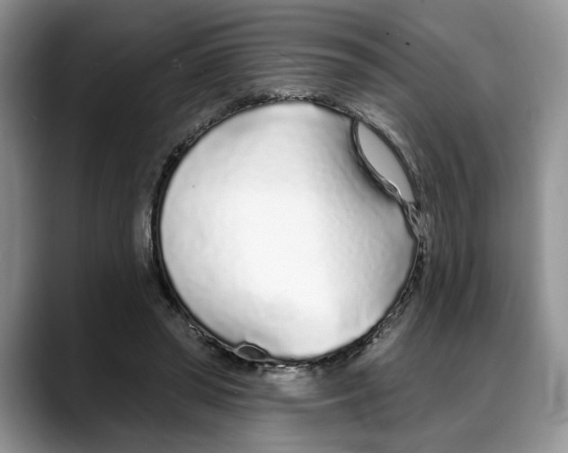 X0000088020398200706081445