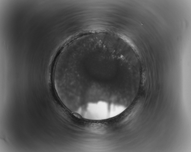 X0000088020399200706081445