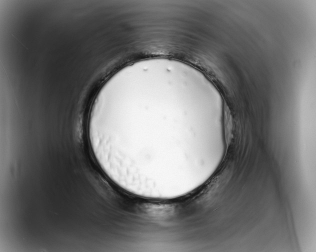 X0000088020400200706081445