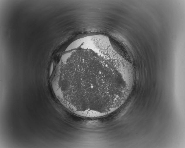 X0000088020401200706081445