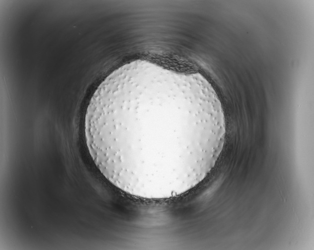 X0000088020402200706081445