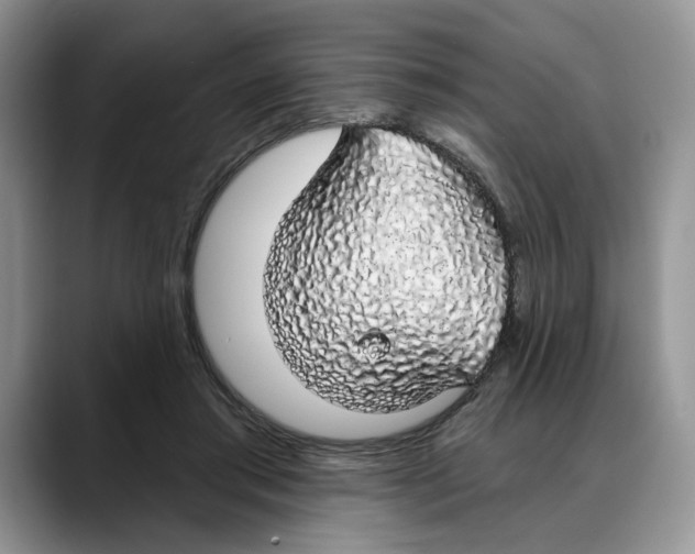 X0000088020405200706081445