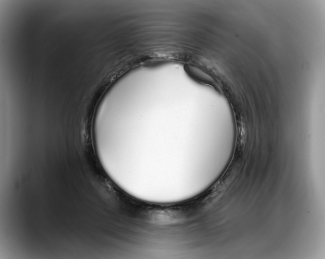 X0000088020408200706081445
