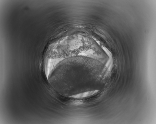 X0000088020409200706081445