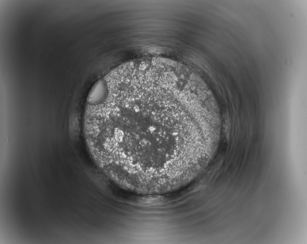 X0000088020410200706081445