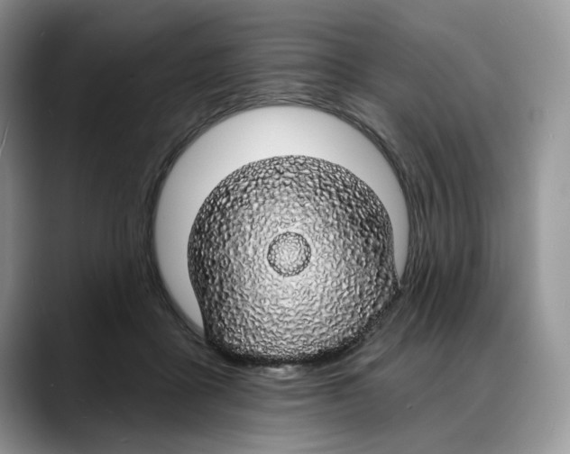 X0000088020411200706081445
