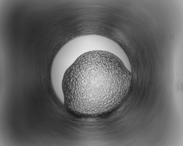 X0000088020412200706081445