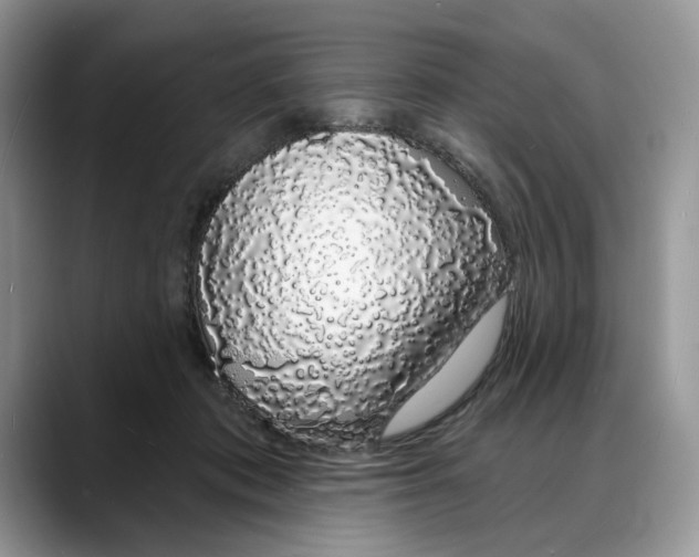 X0000088020413200706081445