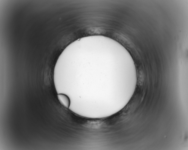 X0000088020414200706081445
