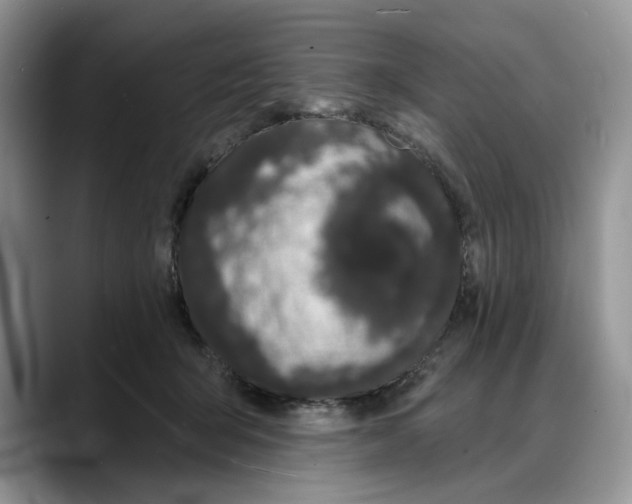 X0000088020415200706081445
