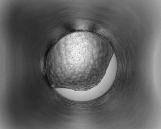 X0000088020416200706081445