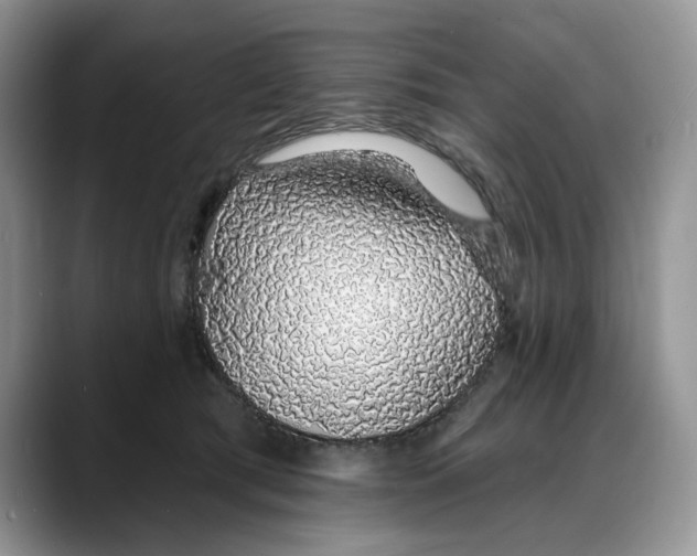 X0000088020417200706081445