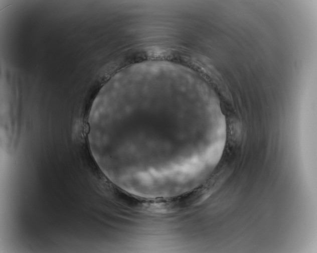 X0000088020419200706081445