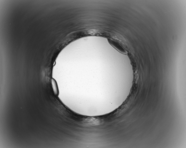 X0000088020421200706081445