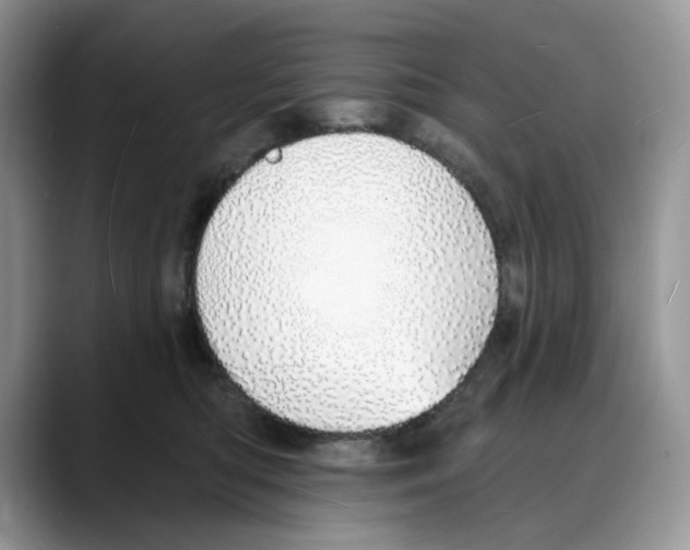 X0000088020422200706081445