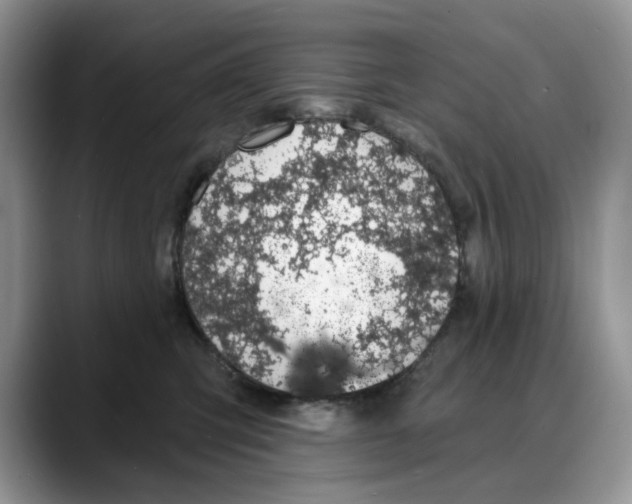 X0000088020423200706081445