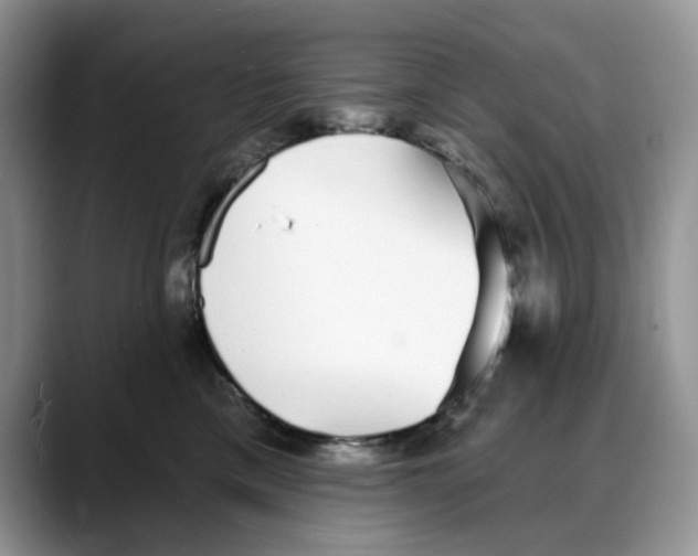 X0000088020425200706081445