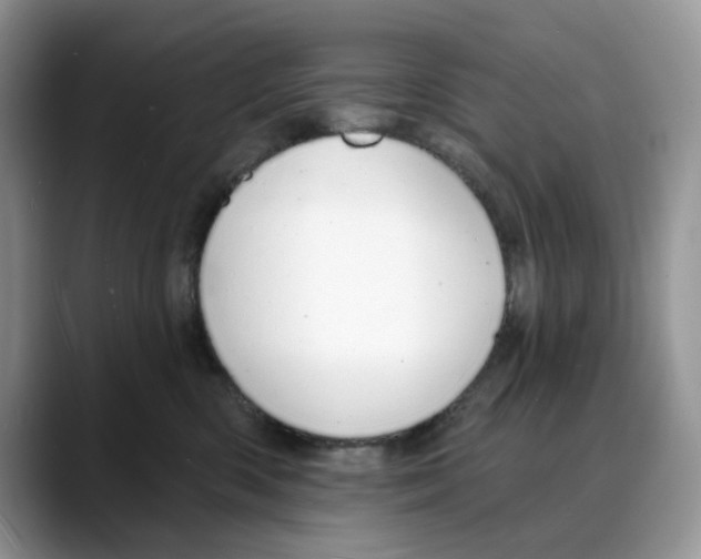 X0000088020426200706081445
