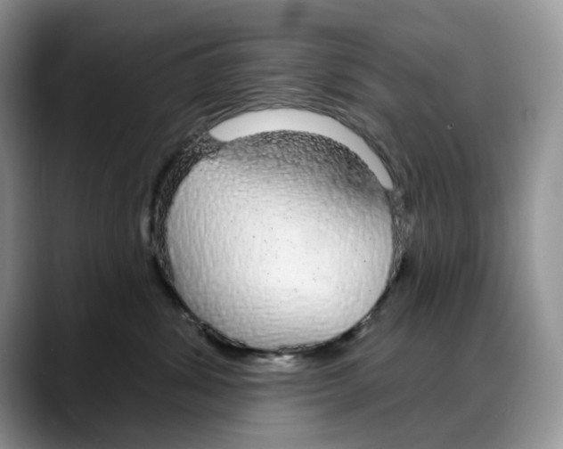 X0000088020428200706081445