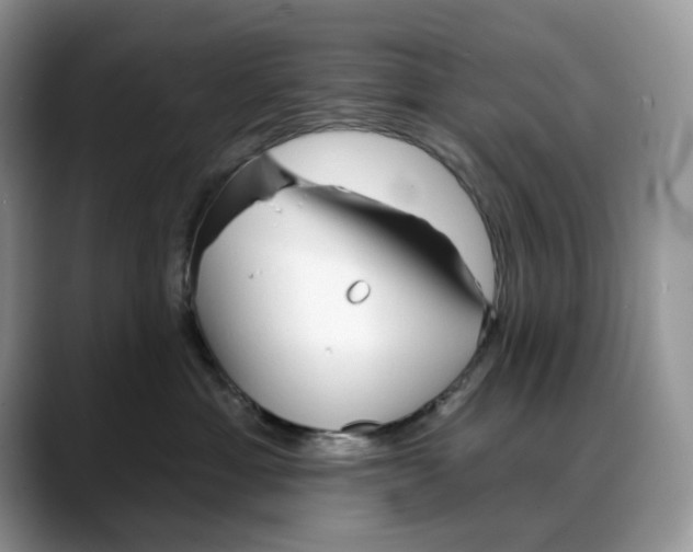 X0000088020429200706081445