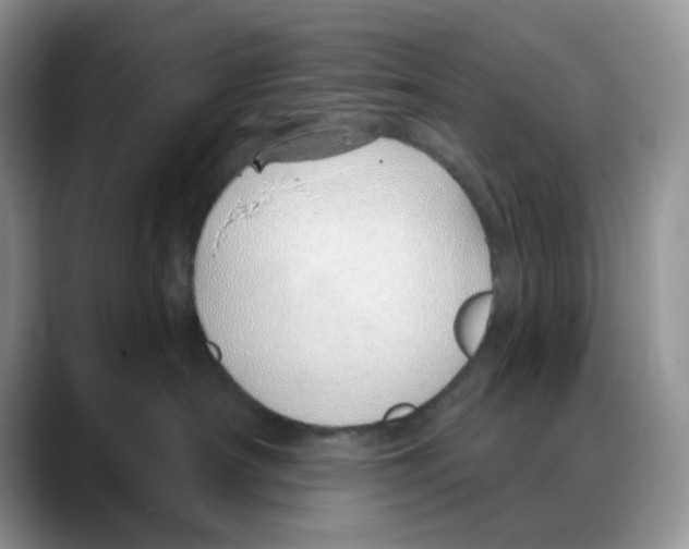 X0000088020430200706081445