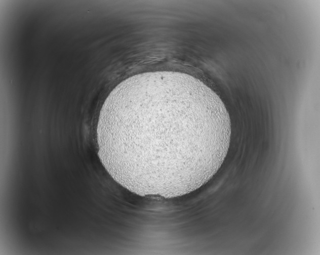 X0000088020432200706081445
