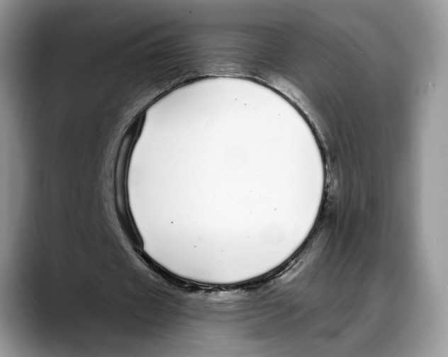 X0000088020433200706081444