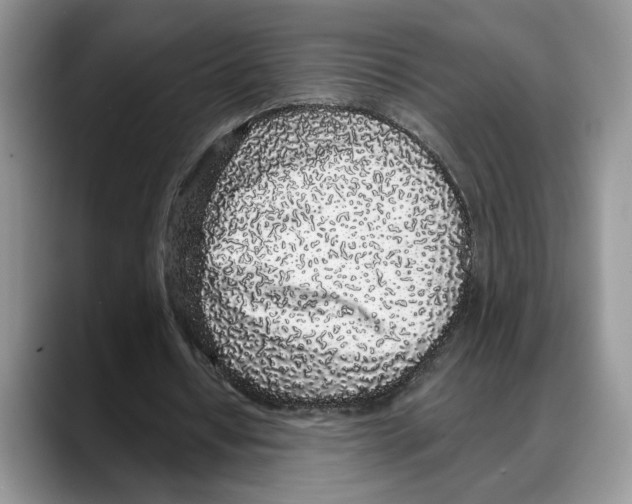 X0000088020434200706081444
