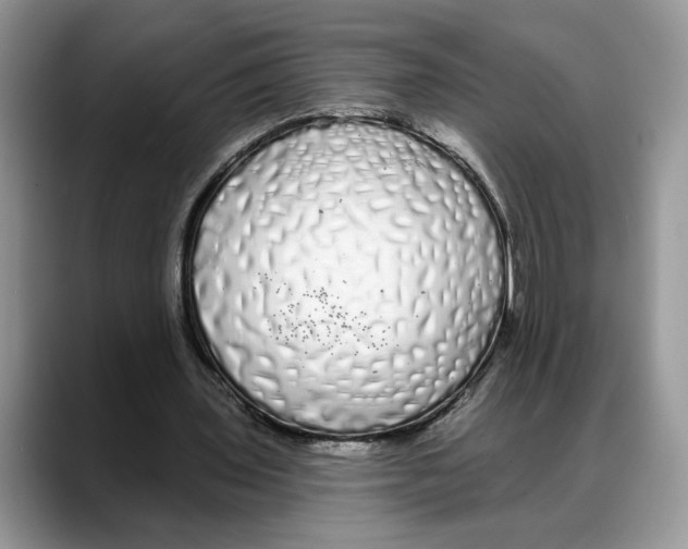 X0000088020435200706081444