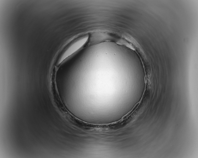X0000088020436200706081444