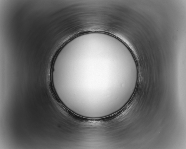 X0000088020437200706081444