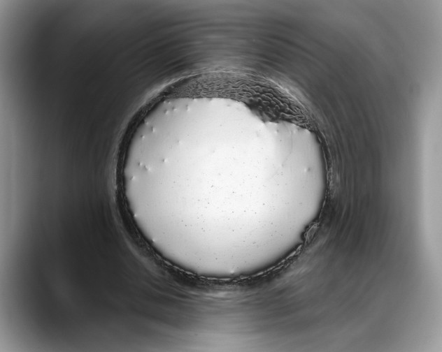 X0000088020438200706081444