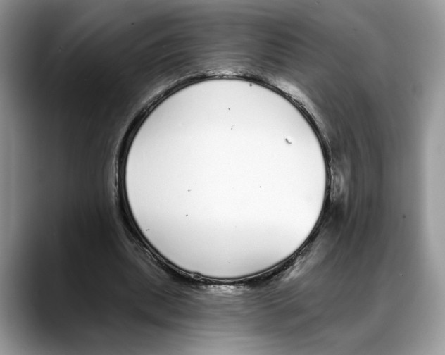 X0000088020439200706081444