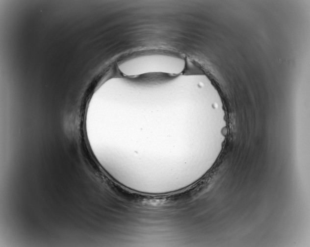 X0000088020440200706081444
