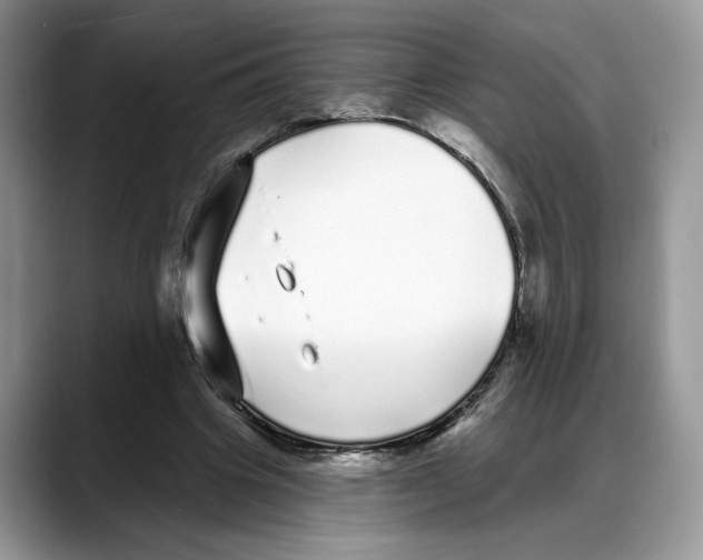 X0000088020441200706081444