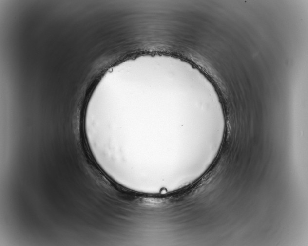 X0000088020442200706081444